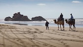 Kamelreiten am Strand