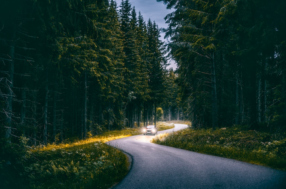 4. Einen (autobahnfreien) Roadtrip durch das schwedische Inland unternehmen