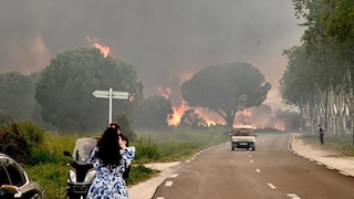 Wegen eines Waldbrands wurden mehr als 3000 Campingurlauber im französischen Saint-André nahe Argelès-sur-Mer evakuiert