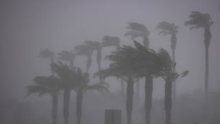 Tropische Stürme kommen in Südkalifornien durchaus vor, wie z. B. in Palm Desert am 20. August 2023