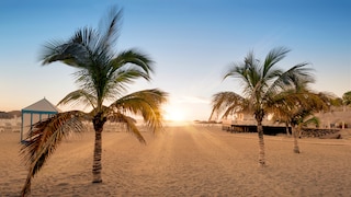 Strandurlaub im Dezember? Auf Teneriffa ist ein warmer Winterurlaub gut möglich