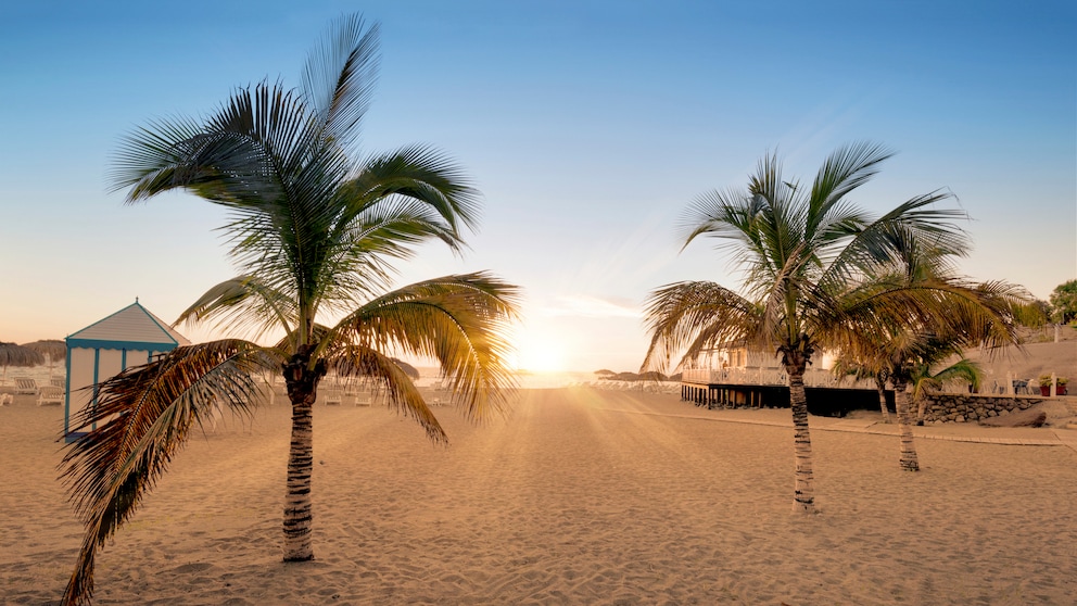 Strandurlaub im Dezember? Auf Teneriffa ist ein warmer Winterurlaub gut möglich