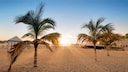 Strandurlaub im Dezember? Auf Teneriffa ist ein warmer Winterurlaub gut möglich