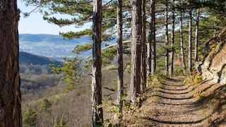 Der Panoramaweg „SaaleHorizontale“ in Thüringen ist der beste mehrtägige Wanderweg Deutschlands 2023