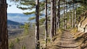 Der Panoramaweg „SaaleHorizontale“ in Thüringen ist der beste mehrtägige Wanderweg Deutschlands 2023