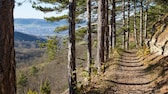 Der Panoramaweg „SaaleHorizontale“ in Thüringen ist der beste mehrtägige Wanderweg Deutschlands 2023
