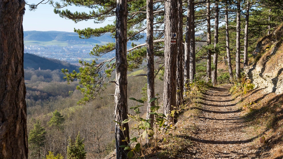 Der Panoramaweg „SaaleHorizontale“ in Thüringen ist der beste mehrtägige Wanderweg Deutschlands 2023