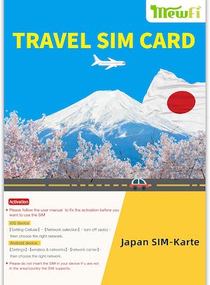 Travel SIM-Karte
