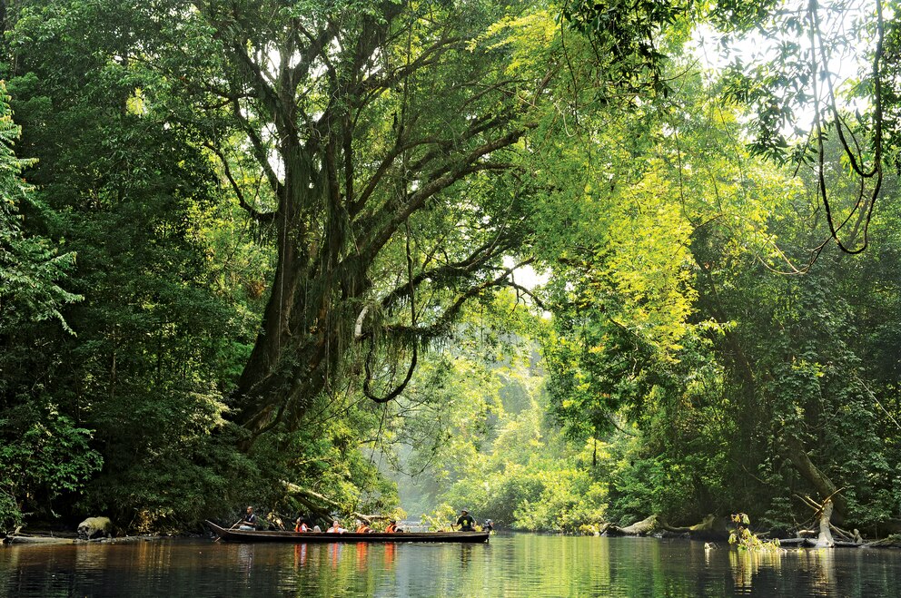 Halb Malaysia ist Regenwald – ein Land wie ein Abenteuerspielplatz