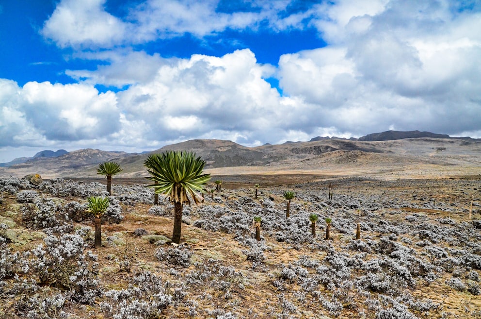 Unesco kürt 27 neue Welterbestätten: Liste im Überblick
