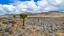 Der Bale-Mountains-Nationalpark in Äthiopien ist eine von 27 neuen Unesco-Welterbestätten