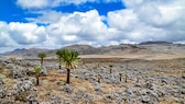 Der Bale-Mountains-Nationalpark in Äthiopien ist eine von 27 neuen Unesco-Welterbestätten