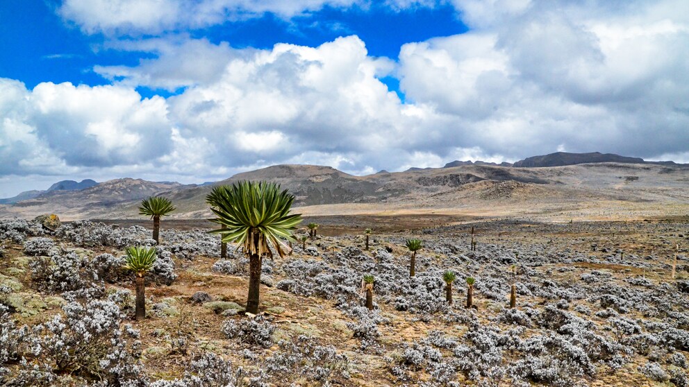 Der Bale-Mountains-Nationalpark in Äthiopien ist eine von 27 neuen Unesco-Welterbestätten