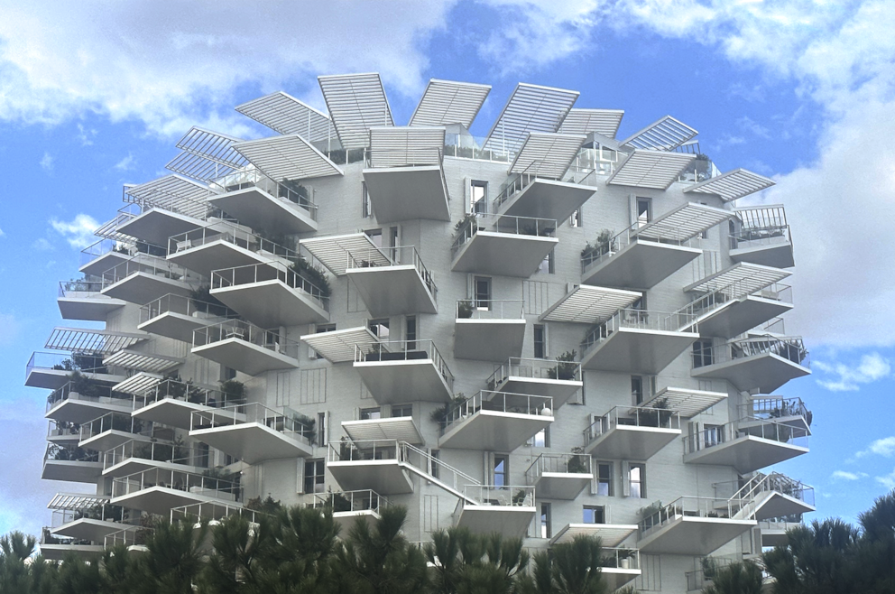 Das L'Arbre Blanc erinnert an eine Baumkrone