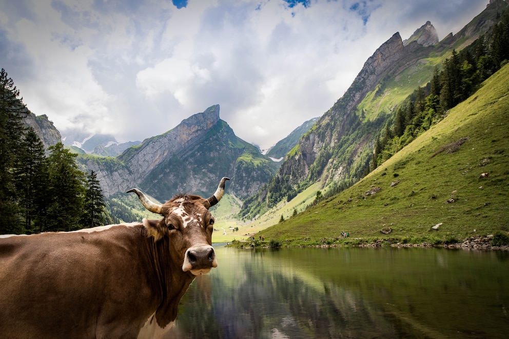 Urlaubsangebot, Schweiz