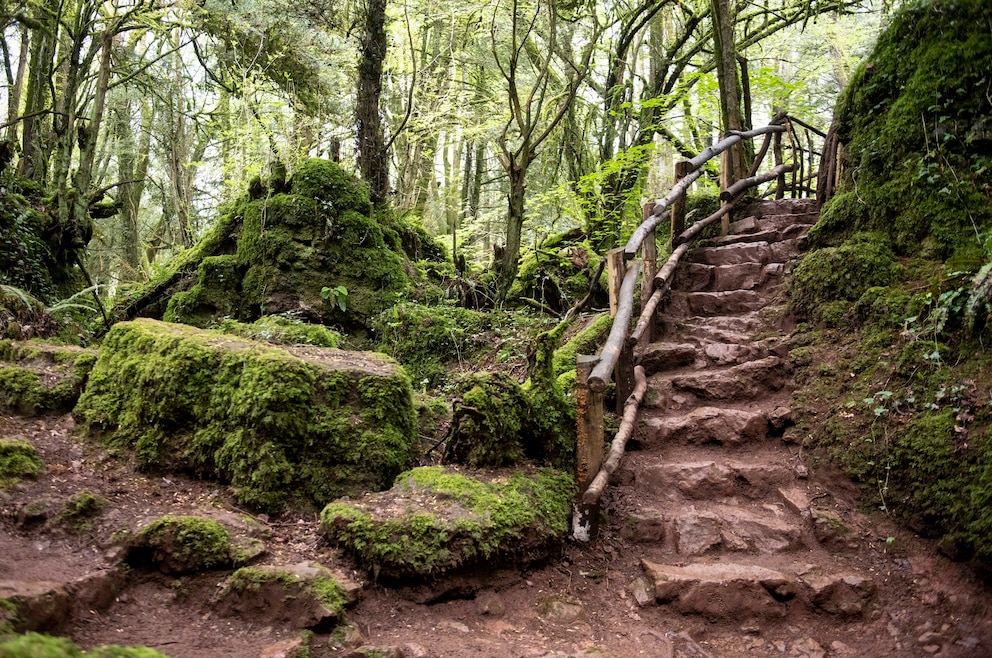 Puzzlewood