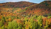 Die Gemeinde Pomfret im US-Bundesstaat Vermont zieht jedes Jahr im Herbst etliche Besucher an