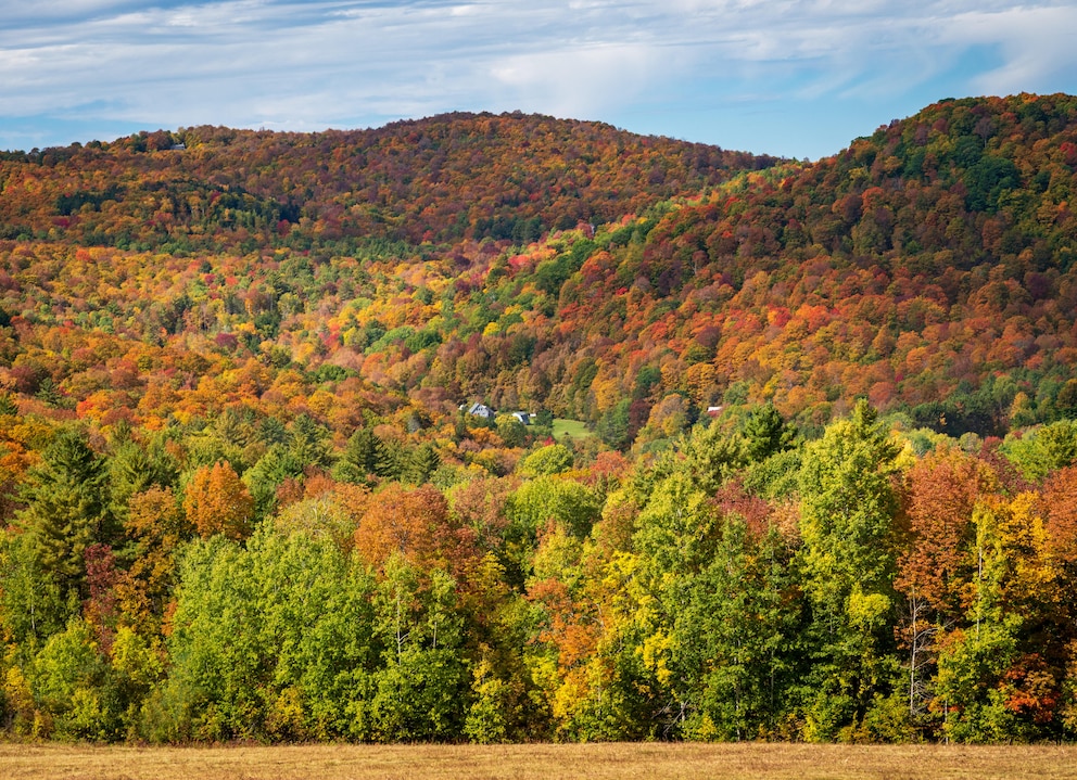 Die Gemeinde Pomfret im US-Bundesstaat Vermont zieht jedes Jahr im Herbst etliche Besucher an