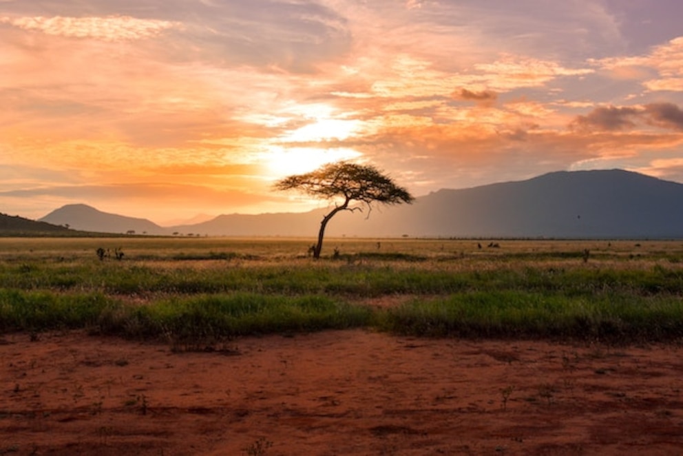 Ltur Afrika Urlaubsangebot