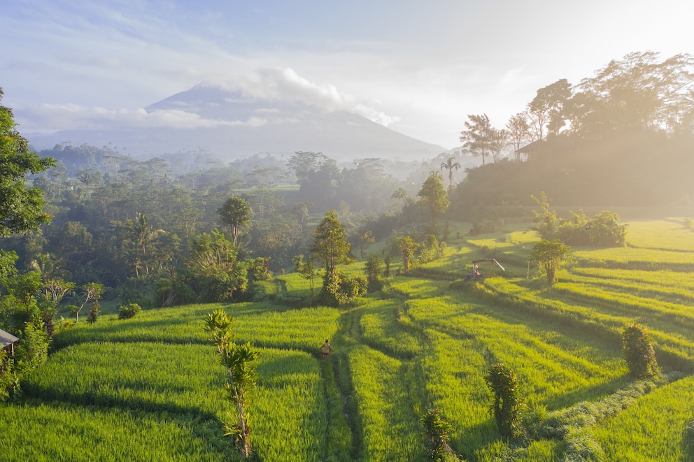 Urlaubsangebot, Bali