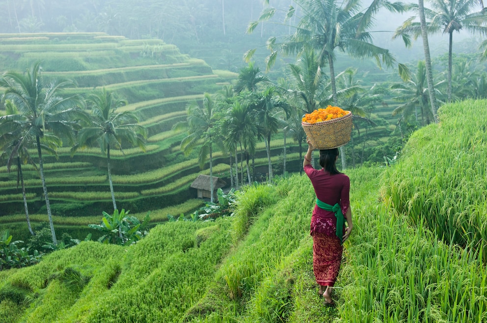 1. Ubud – die Stadt liegt im südlich-zentralen Hochland Balis und ist für ihre umliegenden Reisterrassen, als Zentrum für traditionelles Handwerk und Tanz sowie Hindu-Tempel bekannt