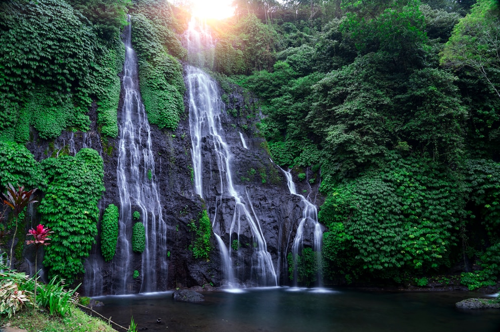 8. Balis Banyumala-Zwillingswasserfall im Norden der Insel entdecken