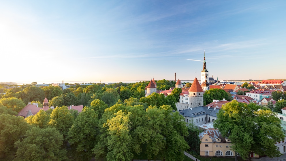 Estland ist ein faszinierendes Reiseziel mit viel Natur, pulsierender Hauptstadt und kleinen urigen Orten