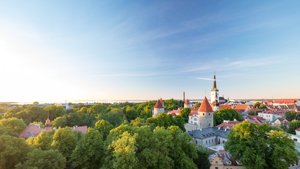 Estland ist ein faszinierendes Reiseziel mit viel Natur, pulsierender Hauptstadt und kleinen urigen Orten
