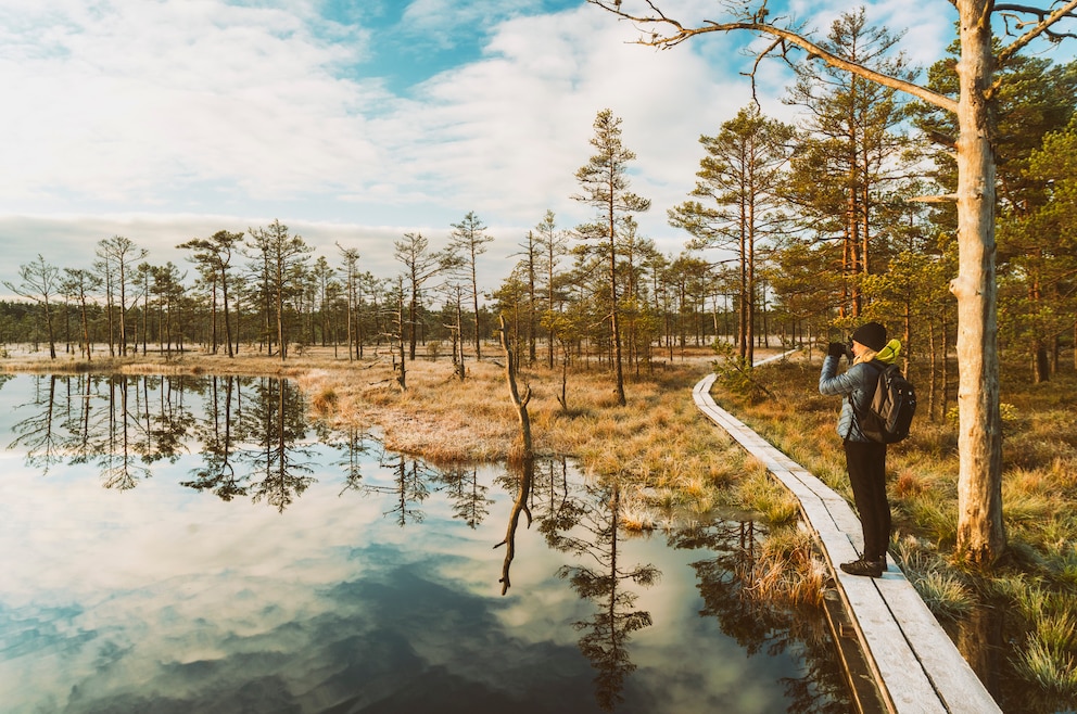 6. Lahemaa-Nationalpark – der 72.500 Hektar große Nationalpark befindet sich an der Nordküste Estlands, unweit von Tallinn