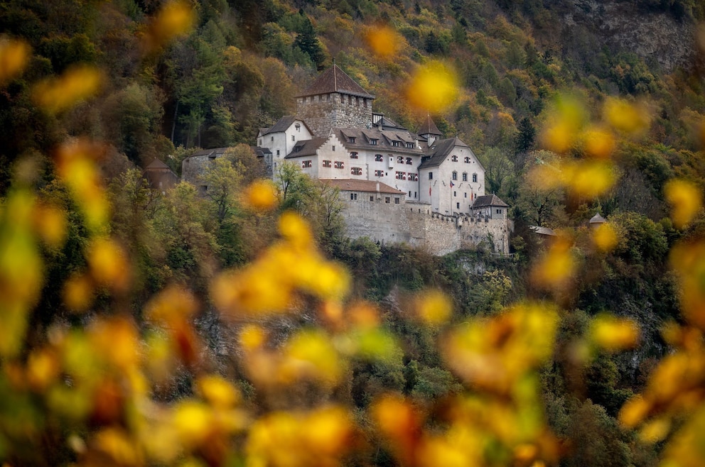 6. Das Schloss Vaduz besuchen