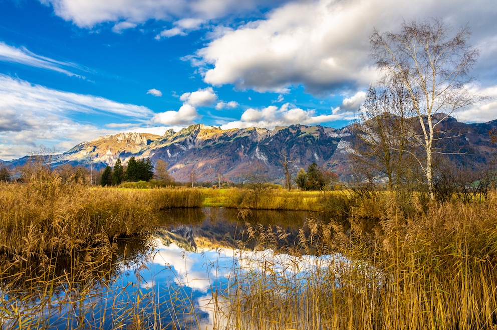 6. Ruggell – die nördlichste Gemeinde Liechtensteins liegt im Alpenrheintal am Fuß des Eschnerbergs