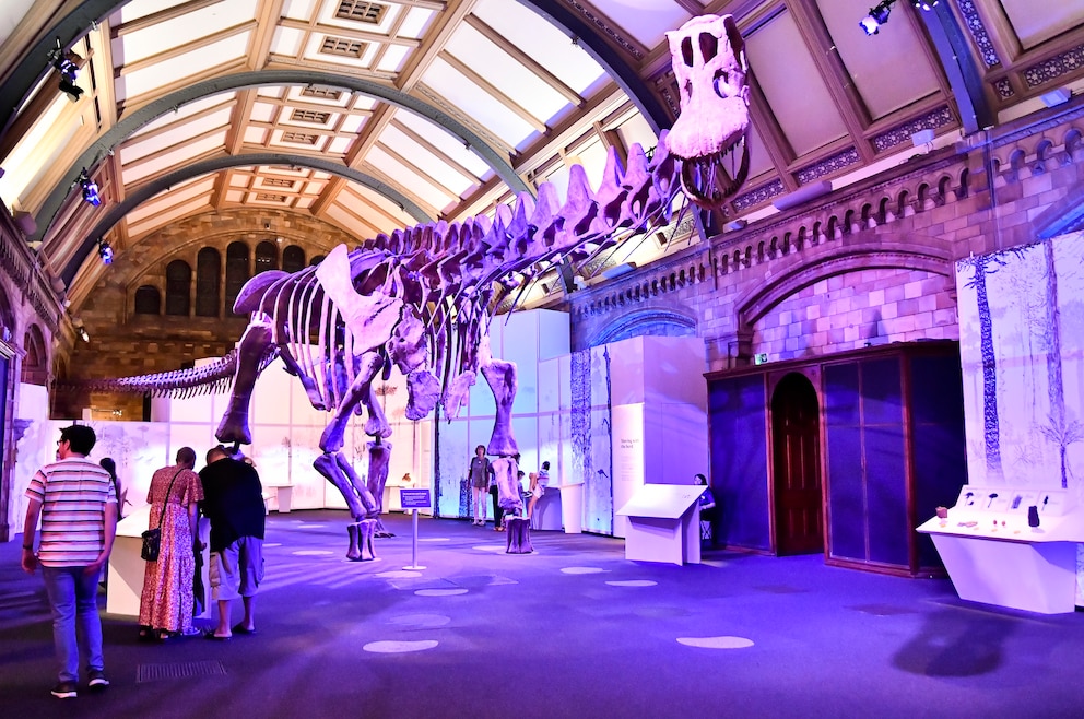 14. Natural History Museum – das naturhistorische Museum ist eins der größten weltweit und befindet sich als eins von drei Museen der Exhibition Road im Londoner Stadtteil South Kensington