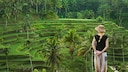 Bali mit seinen Reisterrassen, weißen Puderstränden, alten Tempeln und besonderen Riten ist ein beliebtes Reiseziel bei Touristen (im Bild: Reisterrassen bei Ubud)