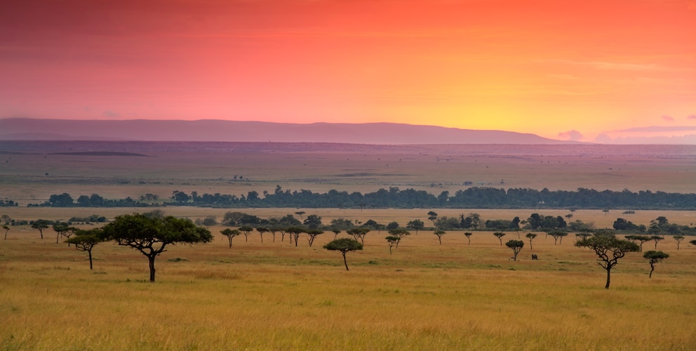 Kenia Urlaub