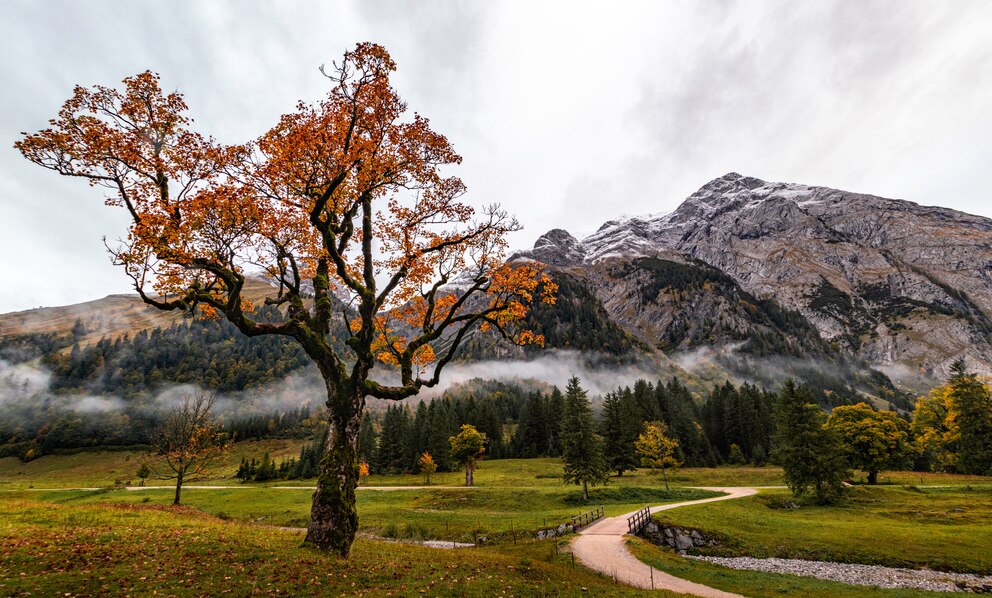 Urlaubsangebot, Tirol