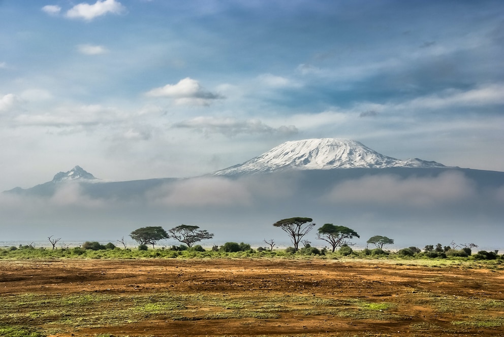 Urlaubsangebot, Afrika