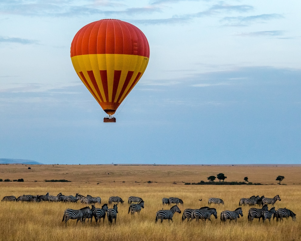 Urlaubsangebot, Afrika