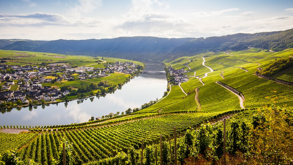 Sattgrüne Landschaften wie hier im Moseltal in Rheinland-Pfalz finden sich vielerorts in Deutschland