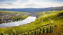 Sattgrüne Landschaften wie hier im Moseltal in Rheinland-Pfalz finden sich vielerorts in Deutschland