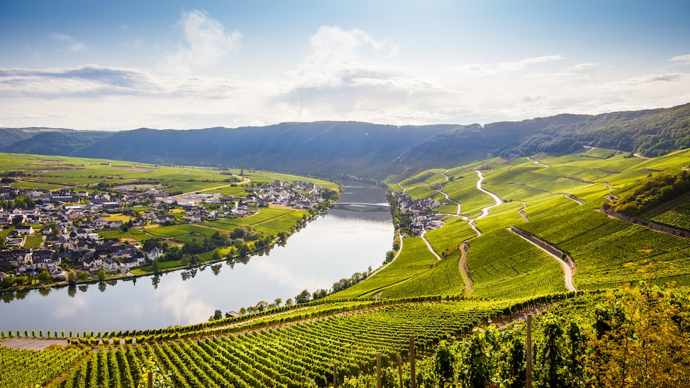 Sattgrüne Landschaften wie hier im Moseltal in Rheinland-Pfalz finden sich vielerorts in Deutschland