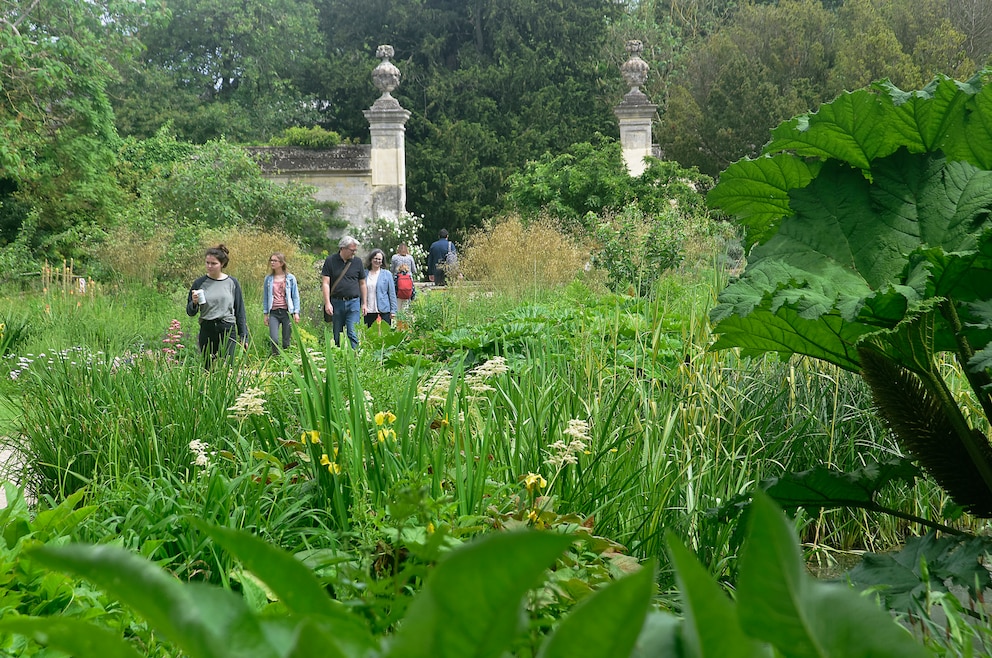 2. University of Oxford Botanic Garden – der botanische Garten ist der älteste des Vereinigten Königreichs und einer der ältesten wissenschaftlichen Gärten der Welt. Seinen Ursprung hatte er im Jahr 1621 als Kräutergarten