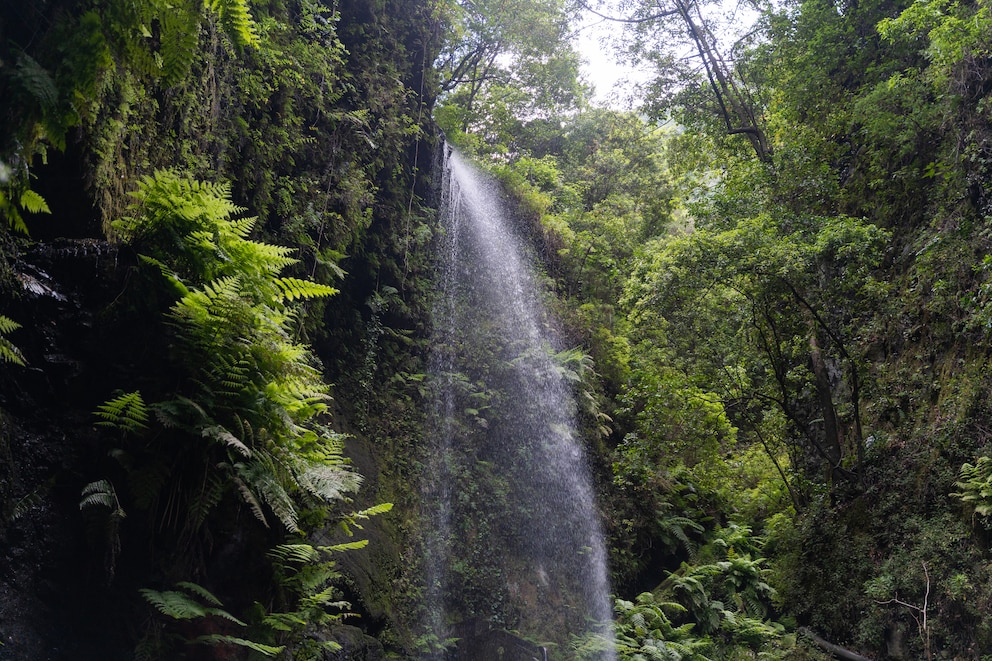 Der Wasserfall von Los Tilos auf der Insel La Palma