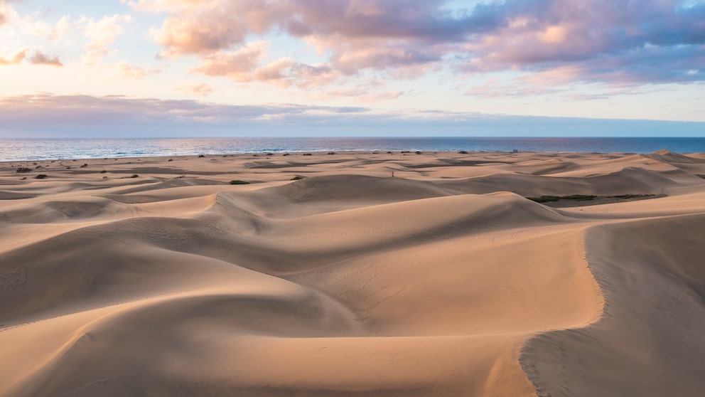 Die Dünen von Las Palomas sind natürlich der Grund, warum die meisten Menschen nach Gran Canaria wollen. Doch es gibt noch weitere Argumente.