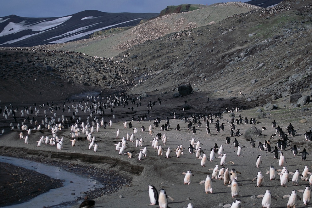 Deception Island