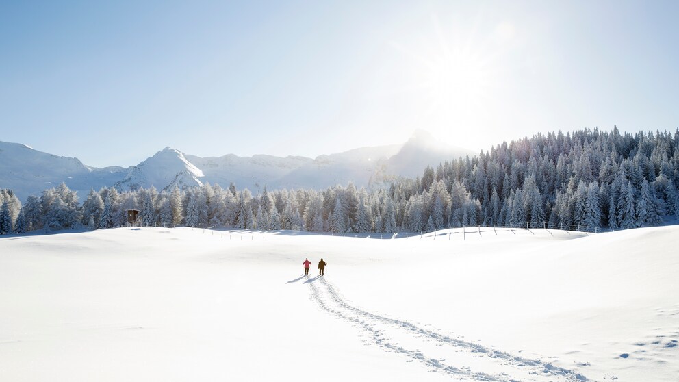 Winterurlaub Österreich