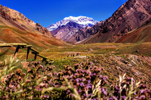 ltur Argentinien Urlaubsangebot