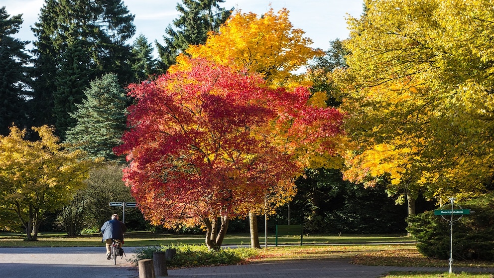 Ohlsdorfer Friedhof