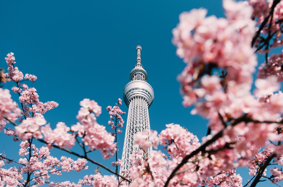 5. Tokyo Skytree – der 634 Meter hohe Fernseh- und Rundfunkturm in der japanischen Hauptstadt ist das dritthöchste Bauwerk der Welt