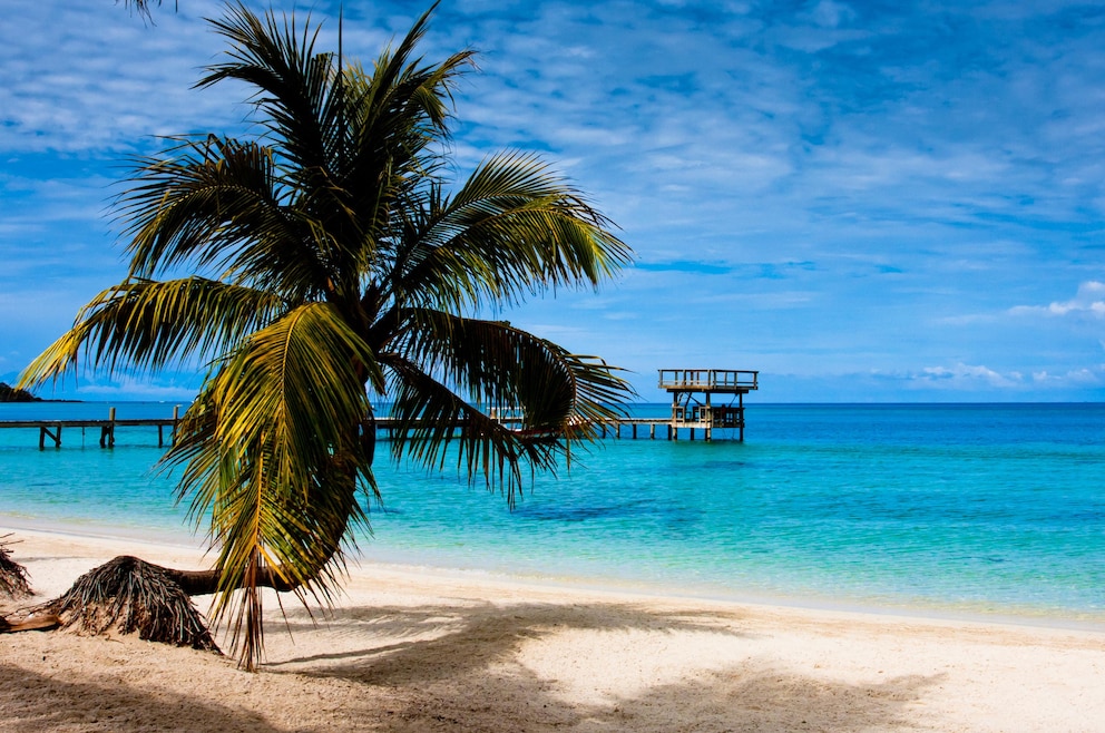 4. West Bay Beach – die Bucht auf Roatán begeistert ihre Besucher mit traumhaften weißen Sandstränden und einer artenreichen Unterwasserwelt