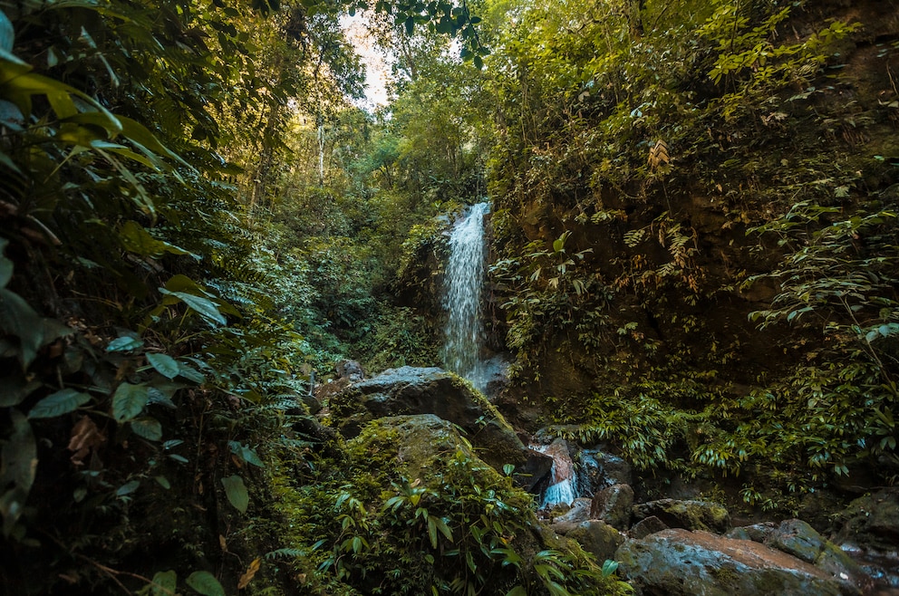 6. Parque Nacional Cerro Azul Meámbar – der Nationalpark im zentralen Westen des Landes umfasst rund 300 Quadratkilometer auf einer Höhe zwischen 1.800 und 2.047 Metern